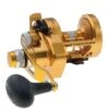 PENN Torque® Lever Drag 2 Speed -Cheap Penn Store 1315422 15 Gold MS 1