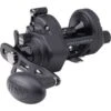 Penn Fathom Ii Star Drag Casting Special Baitcasting Reel Black Ratio: 6.1:1 -Cheap Penn Store Penn Fathom Ii Star Drag Casting Special Baitcasting Reel Black Ratio 6.1 1