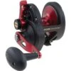 Penn Fathom Lever Drag Reel