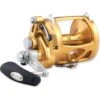Penn International Vi Sw Trolling Reel Golden 30 -Cheap Penn Store Penn International Vi Sw Trolling Reel Golden 30