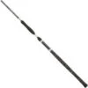 Penn Legion Silver Allround Catfish Rod Black 3.00 100-300 G