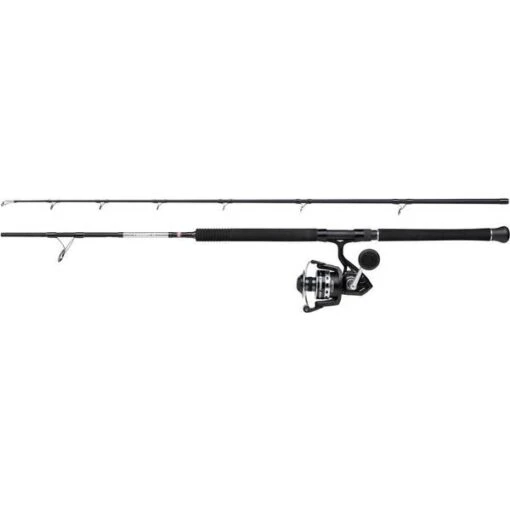 Penn Pursuit IV Boat Combo