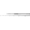 Penn REGIMENT III Uptide Rod 10ft 70-300g 2pc