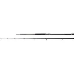 Penn REGIMENT III Uptide Rod 10ft 70-300g 2pc
