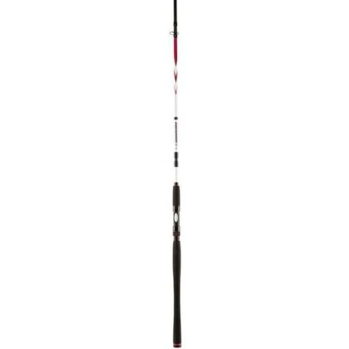 Penn Squadron II SW 10' 20-60g