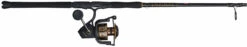 Penn BTLIII8000102H Battle III Spinning Combo -Cheap Penn Store penn btliii8000102h battle iii spinning combo 85030.1651356221