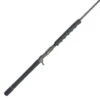 Penn Carnage III Conventional Jig Rods -Cheap Penn Store penn carnage iii conventional jig rods 87601.1665204485.386.513