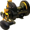 Penn Fathom Star Drag Reels -Cheap Penn Store penn fathom star drag reels 82275.1651033542