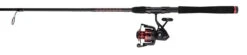 Penn FRCIII4000701M Fierce III Spinning Combo 9 Penn FRCIII4000701M Fierce III Spinning Combo -Cheap Penn Store penn frciii4000701m fierce iii spinning combo 34570.1651244477