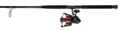 Penn FRCIII8000102H Fierce III Spinning Combo 8 Penn FRCIII8000102H Fierce III Spinning Combo -Cheap Penn Store penn frciii8000102h fierce iii spinning combo 93197.1651244507