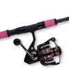 Penn Passion Spinning Combos -Cheap Penn Store penn passion spinning combos 35491.1650814815
