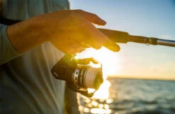 Penn Pursuit IV Spinning Reels -Cheap Penn Store penn pursuit iv spinning reels 56136.1656656295