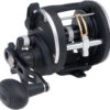 Penn Rival Level Wind Reels