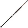 Penn Squadron II Surf Rods -Cheap Penn Store penn squadron ii surf rods 69662.1650815042