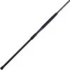 Penn Squadron III Surf Spinning Rods -Cheap Penn Store penn squadron iii surf spinning rods 00508.1681843374