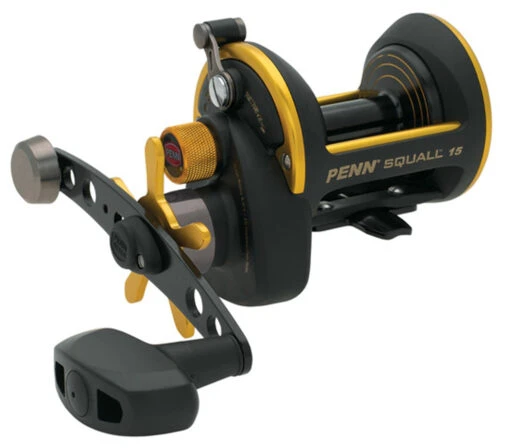 Penn Squall Star Drag Reels