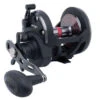 Penn Warfare Star Drag Reels -Cheap Penn Store penn warfare star drag reels 77146.1650815142.386.513